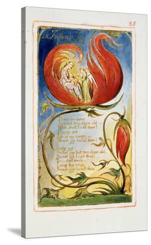 a symbol of innocence and experience in william blakes the clod and the pebble a symbol of innocence and experience in william blakes the clod and the pebble