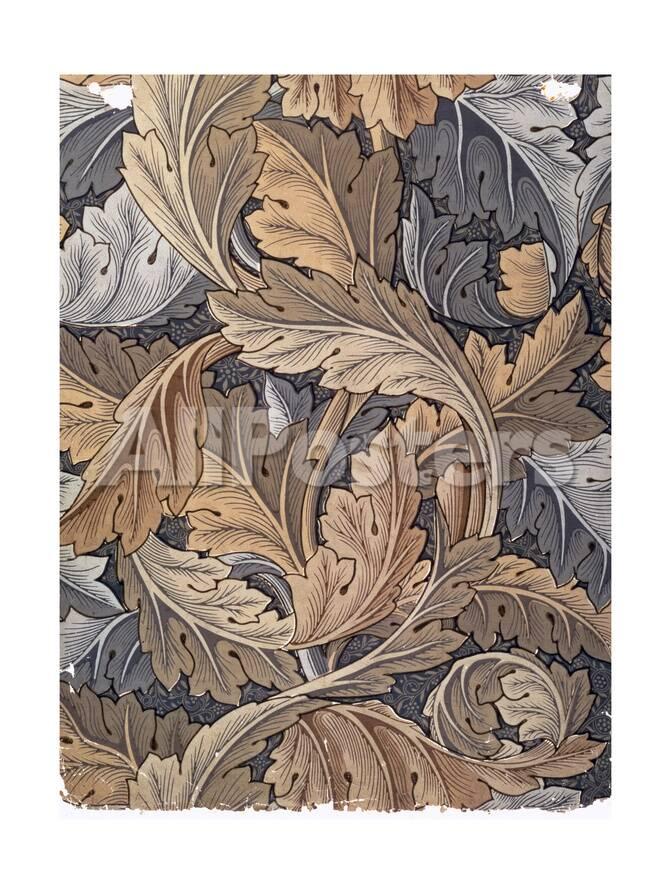 Acanthus Wallpaper Designed By William Morris 1875 Giclee Print William Morris Allposters Com