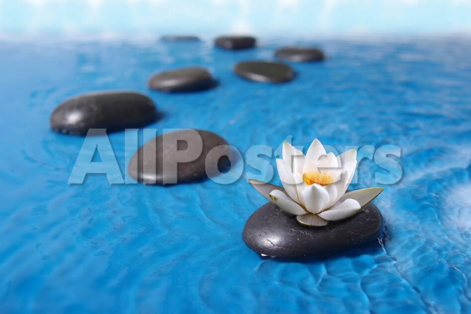 Zen Stones In Water Photographic Print Witold Krasowski Allposters Com