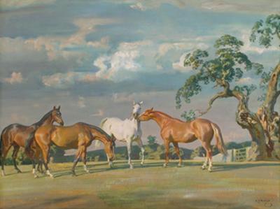 Sir Alfred Munnings, Posters and Prints at Art.com