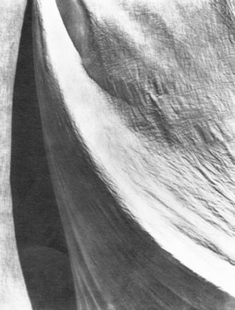 abstract black and white art