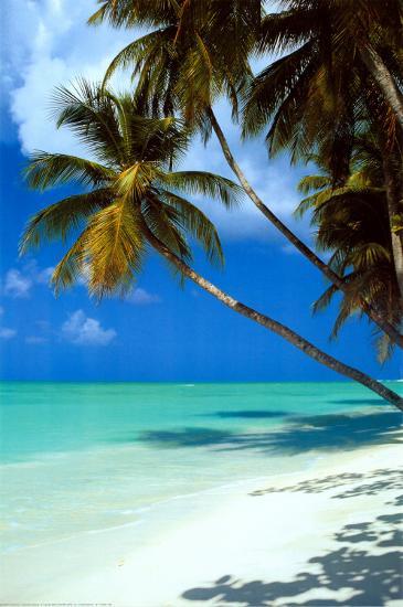 Tropical Beach Posters Allposters Com Tropical Beach Posters Allposters Com
