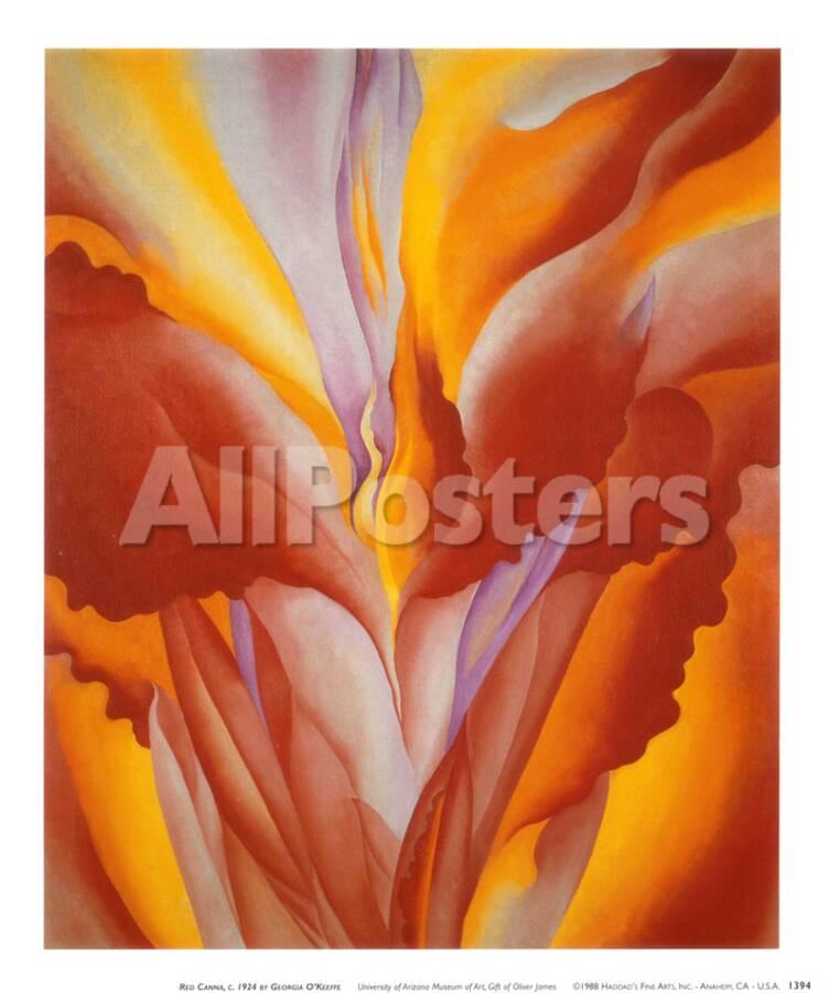 Red Canna Prints Georgia O Keeffe Allposters Com