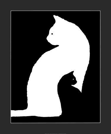 'Big White Cat, Small Black Cat' Posters | AllPosters.com