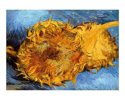 Two Cut Sunflowers, c.1887 Giclee Print by Vincent van Gogh at