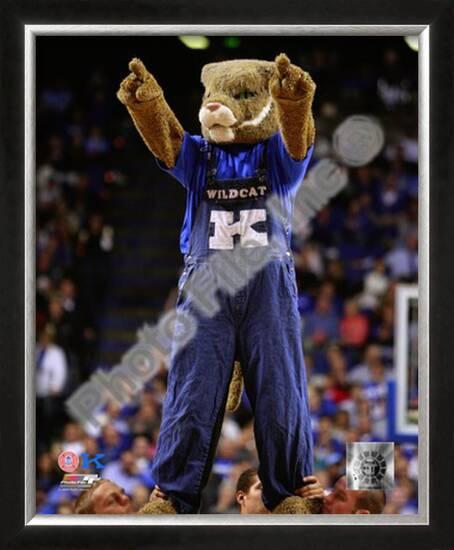 university of kentucky wildcats mascot framed photographic print at