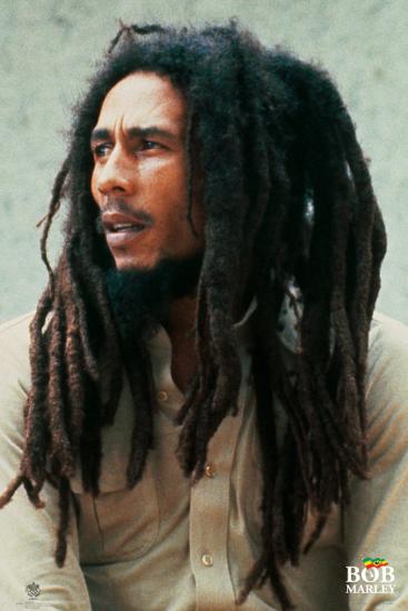 Bob Marley Lion Prints At Allposterscom
