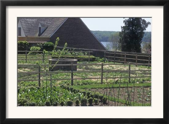 Vegetable Garden At Mount Vernon George Washington S Home In
