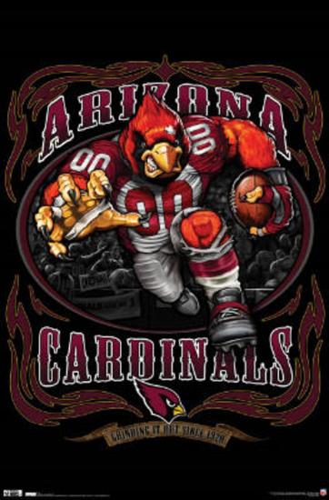 'Arizona Cardinals (Mascot, Grinding It Out Since 1920 ...