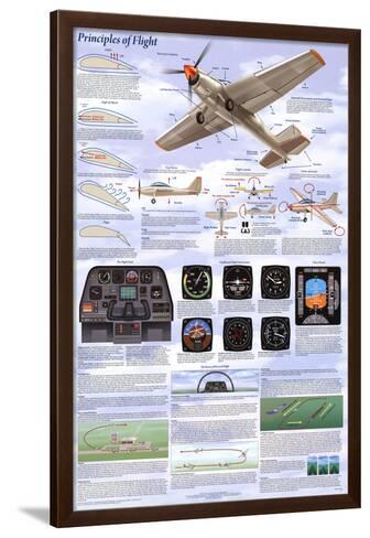 Principles of Flight Laminated Educational History Airplanes Chart Poster 24x36