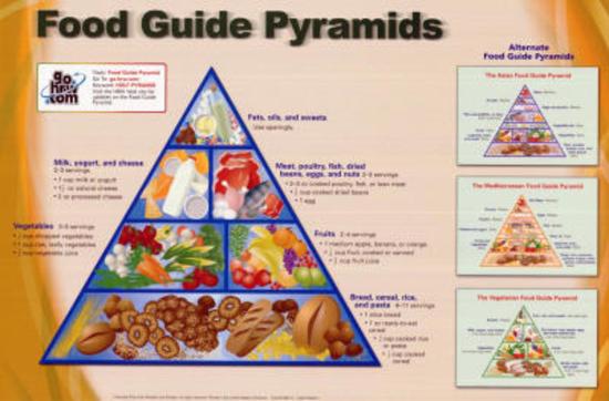 food guide pyramid nutritional chart art poster print food guide chart