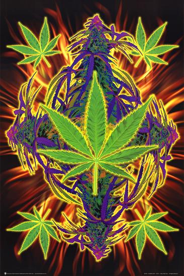 Flaming Leaf Pot Marijuana Art Print Poster Prints at