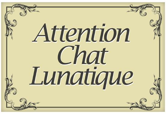 Attention Chat Lunatique French Crazy Cat Sign Poster Print Allposters Com Attention Chat Lunatique French Crazy Cat Sign Poster Print Allposters Com