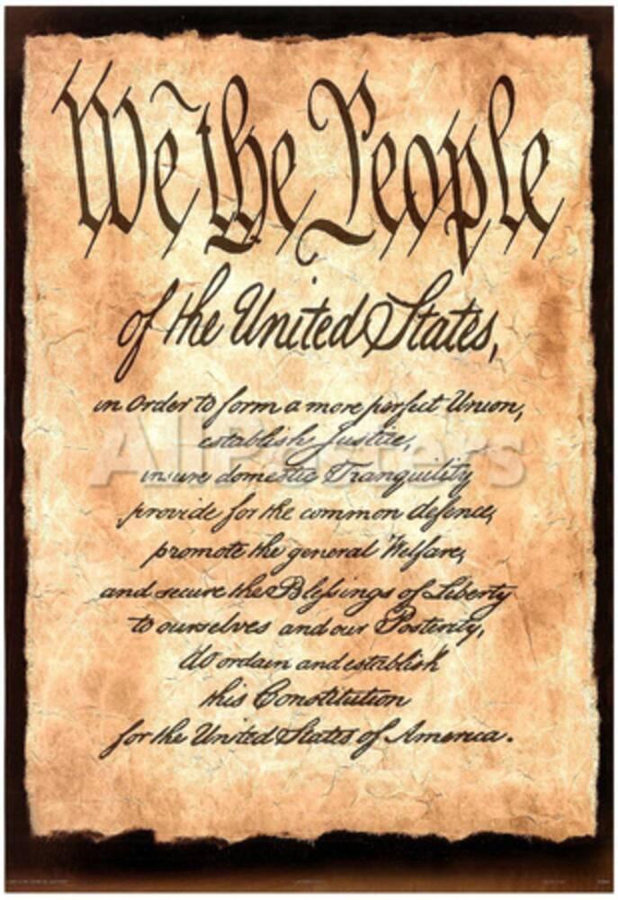 Constitution America motivational Art Print Poster Posters at