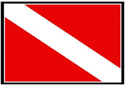 Porn movie - Diver down flag bikini down bikini Diver flag