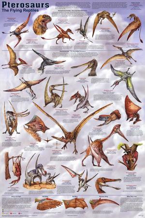 pterosaurs educational dinosaur science chart poster