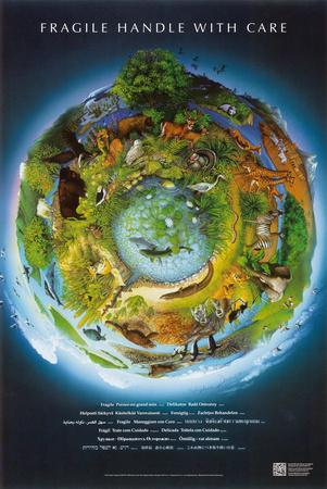 'Fragile Earth Conservation Educational Chart Poster' Posters