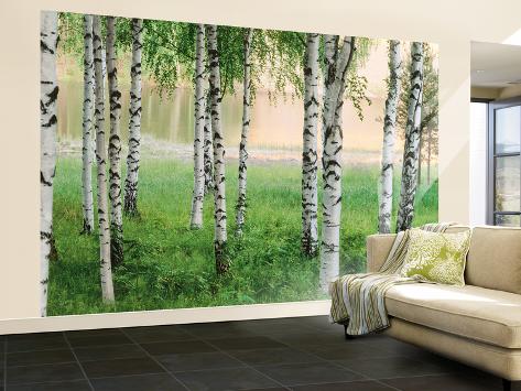 Nordic Forest Wall Mural Wallpaper Mural at AllPosters.com