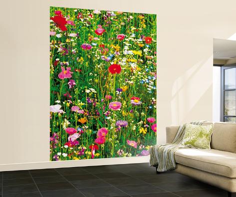 Flower Field Wall Mural Wallpaper Mural at AllPosters.com