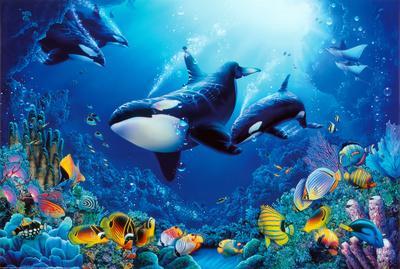 delight of life underwater