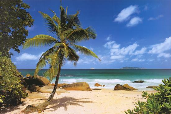 Impertinent image intended for printable beach pictures Irresistible image inside printable beach pictures