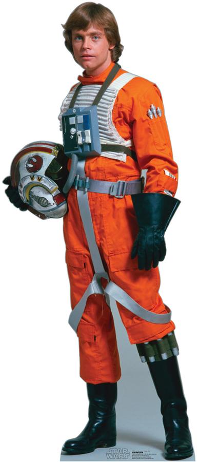 Luke Skywalker Rebel Pilot Cardboard Cutouts Allposters Com