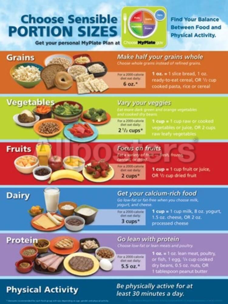 MyPlate Portion Size Poster Prints AllPosters Com