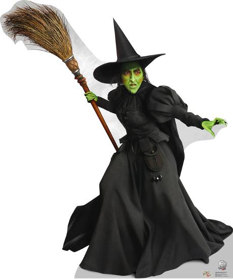 Image result for wicked witch