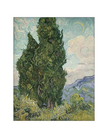 Cypresses 18 Giclee Print Vincent Van Gogh Allposters Com