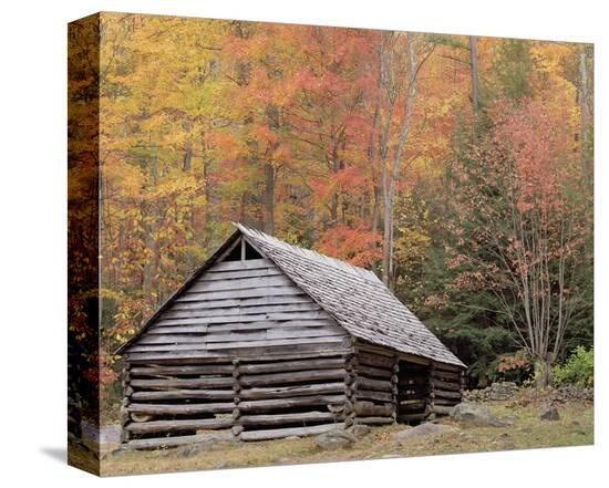 Smokies Roaring Fork Fall Cabin Stretched Canvas Print By Danny