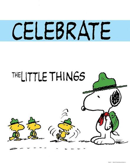 Peanuts Celebrate the Little Things Comic Poster Posters at AllPosters.com