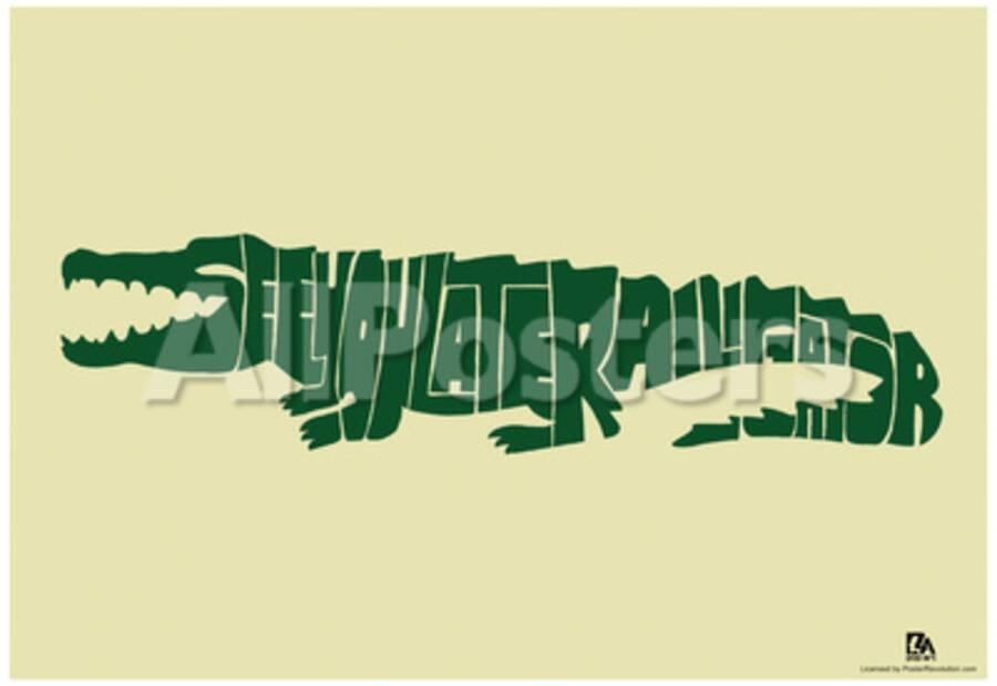 See You Later Alligator Text Poster Posters Allposters Com