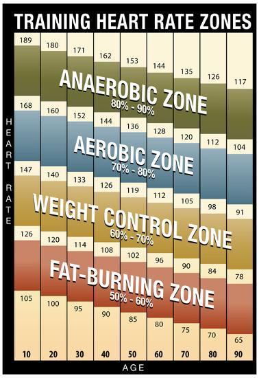 Training Heart Rate Zones Chart (Modern) Poster at ...