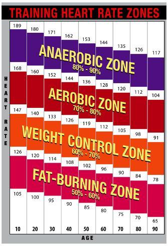 Heart Rate Zone Chart