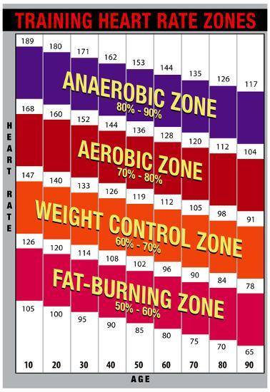 Training Heart Rate Zones Chart (Bright) Posters at ...