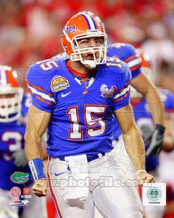 Florida Gators - Tim Tebow Photo Photo at AllPosters.com