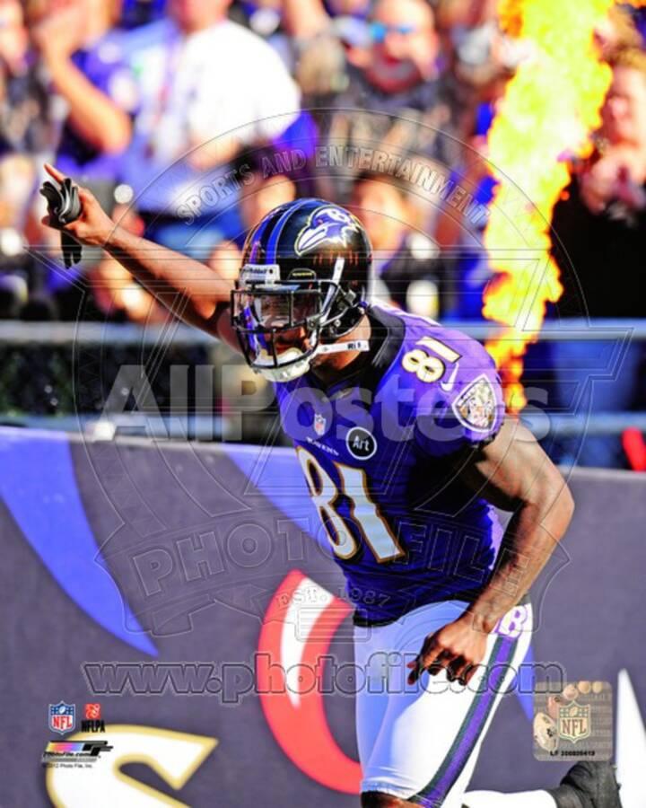 Baltimore Ravens Anquan Boldin Photo Photo Allposters Com Baltimore Ravens Anquan Boldin Photo Photo Allposters Com