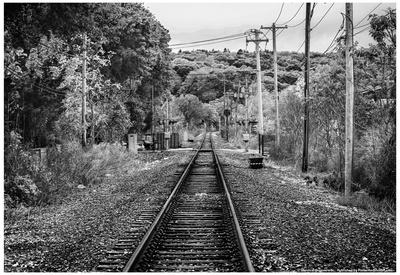 'Train Tracks Oyster Bay New York B/W' Posters | AllPosters.com