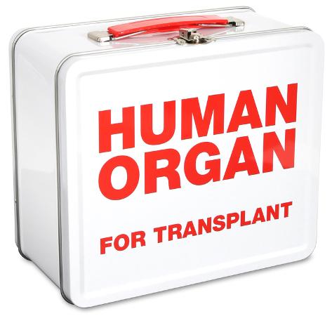 human organ lunch bag