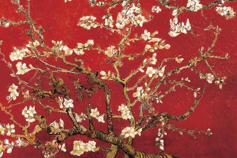 van gogh almond