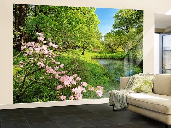 Park In The Spring Wall Mural Wallpaper Mural Allposters Com