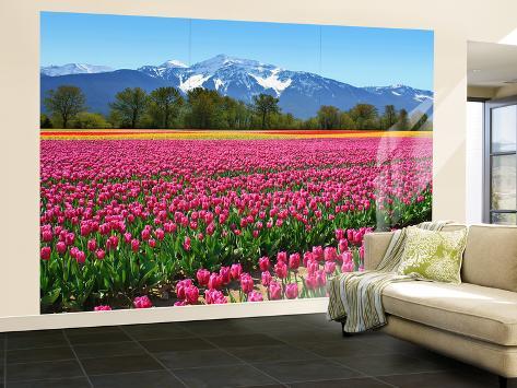 Tulips Wall Mural Wallpaper Mural at AllPosters.com