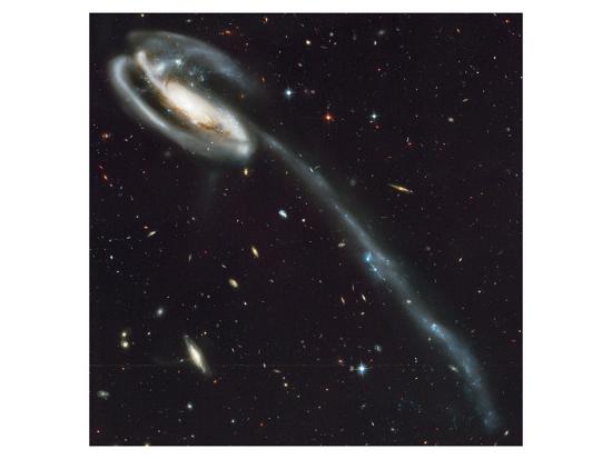 'NASA - Tadpole Galaxy' Prints - | AllPosters.com