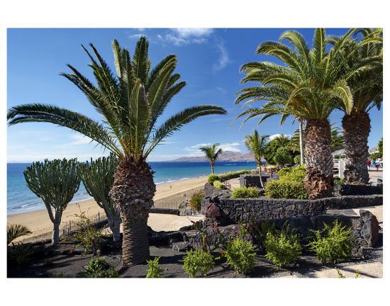 Beach Playa Blanca Puerto Del Carmen Lanzarote Canary Islands Spain
