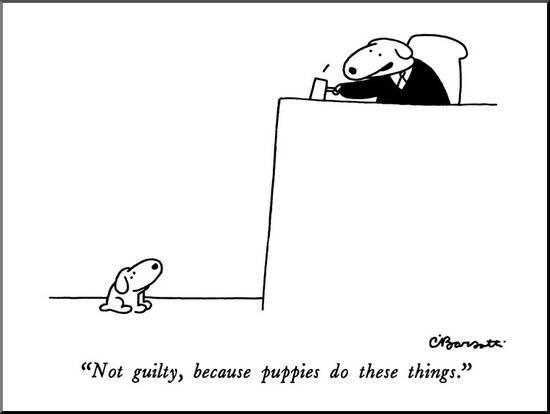 Not Guilty Because Puppies Do These Things New Yorker Cartoon Mounted Print Charles Barsotti Allposters Com