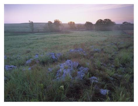 Misty Morning Over Prairie Tallgrass Prairie National Preserve Kansas
