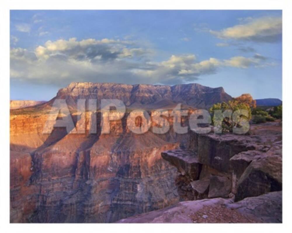 Sandstone cliffs and canyon seen from Toroweap Overlook, Grand Canyon ...