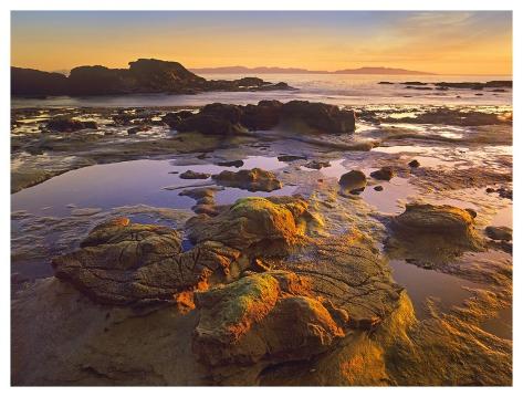 tidal pools vancouver island tidal pools vancouver island