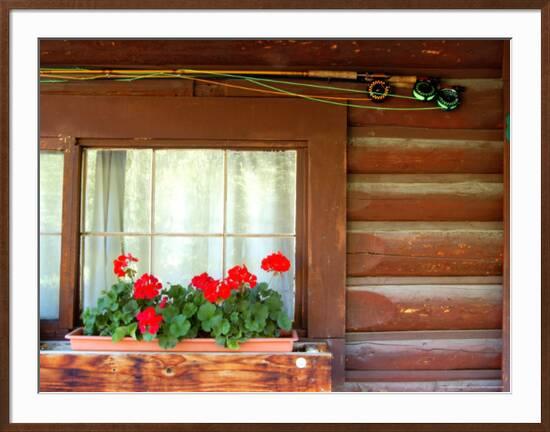 Fly Fishing Rods On Cabin Wall Lake City Colorado Usa Framed