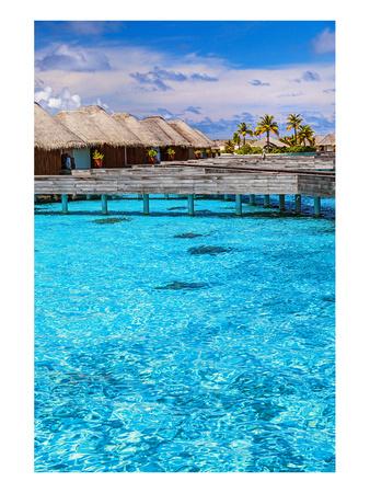maldives bungalows allposters